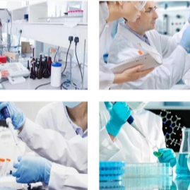 難溶性堿及其在生物制劑研發(fā)中的挑戰(zhàn)與應(yīng)用